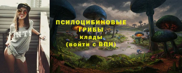 амф Нея