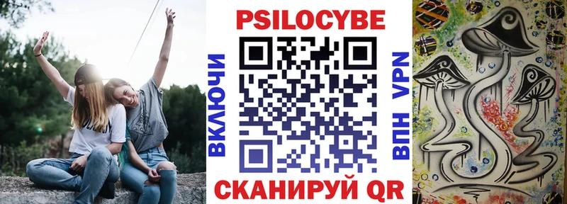 Галлюциногенные грибы Psilocybine cubensis  Алдан 